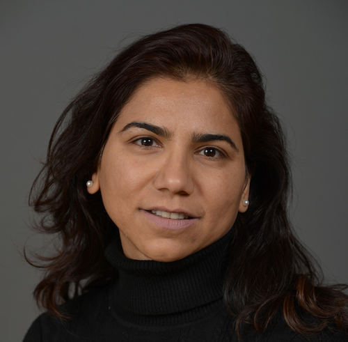 Tasneem Minadakis
